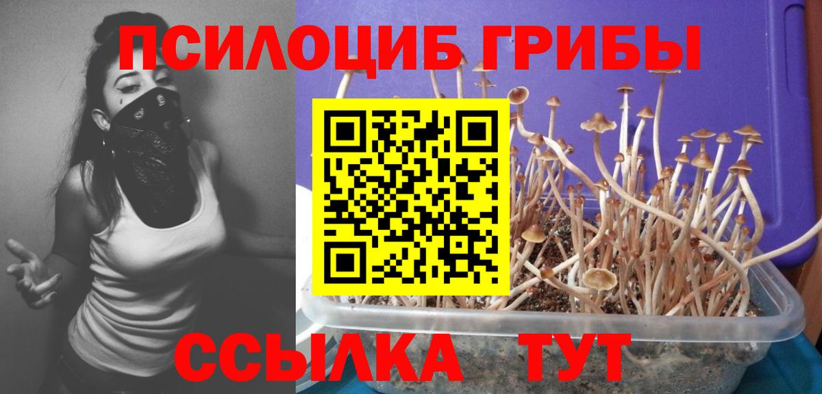 Галлюциногенные грибы Magic Shrooms  Вход с VPN  где купить наркоту  Мыски 