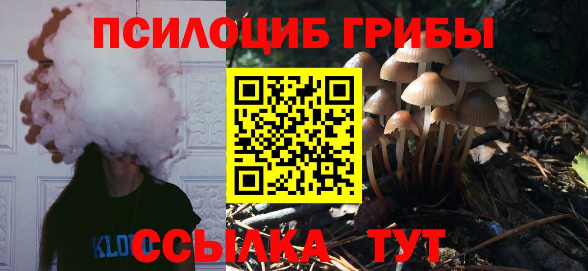 Галлюциногенные грибы Psilocybe Мыски